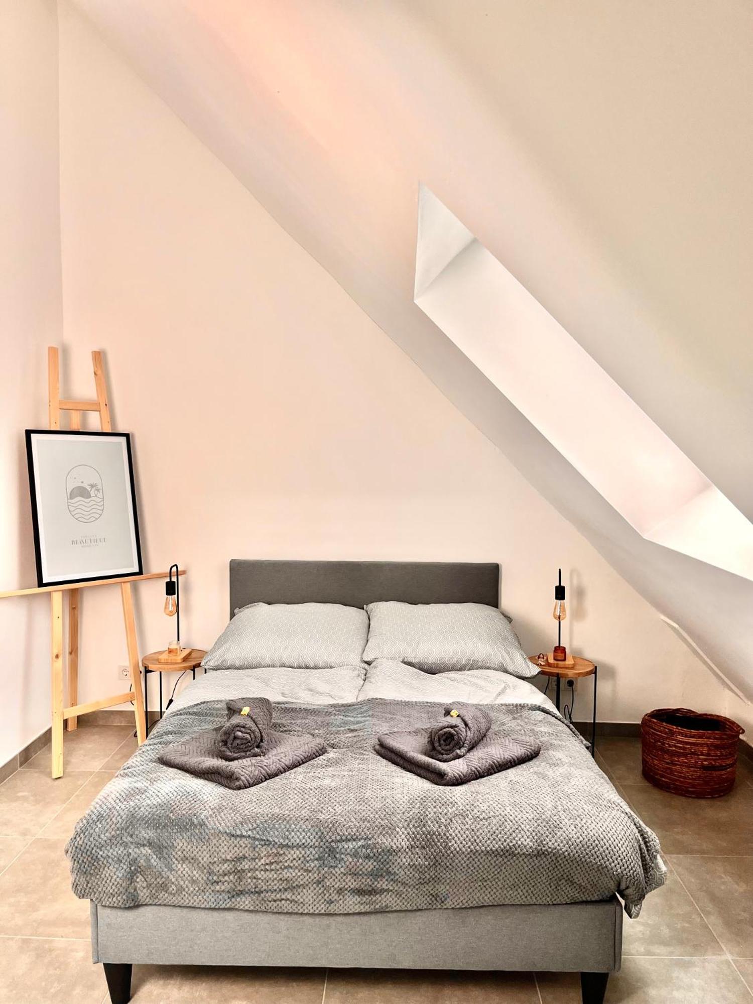 Modernes Loft Naehe Messeplatz, Ewerk Bahn Lejlighed Saarbrücken Eksteriør billede